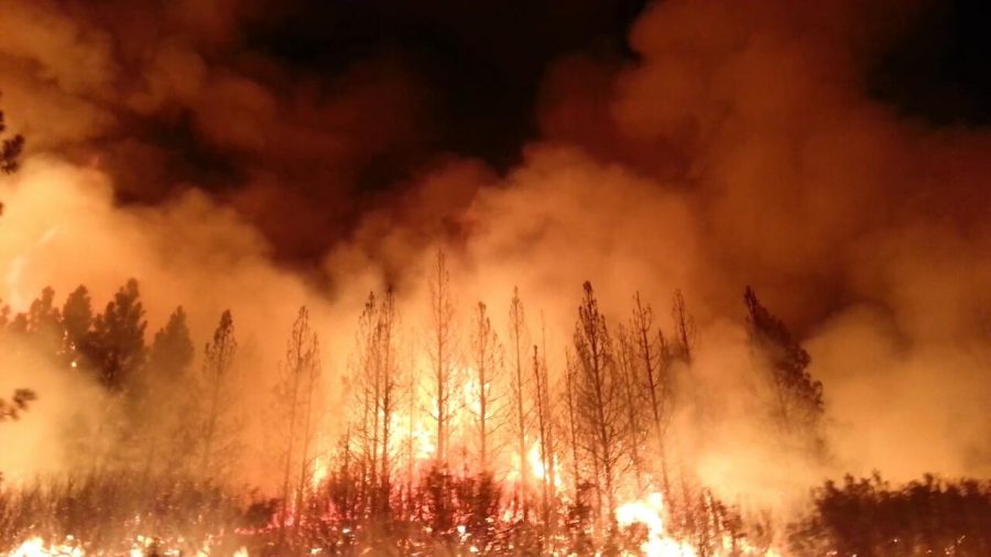 Wild Fires Ravage Northern California