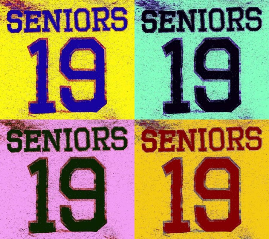 Logo  printed on the back of the 2019 senior sweatshirt.