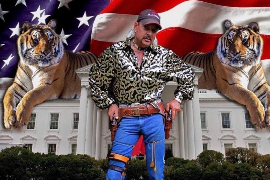 Tiger King Has Taken over America