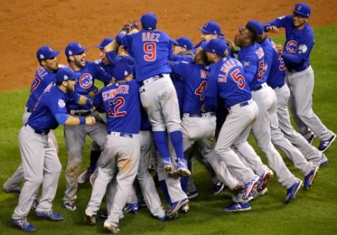 After a few ups and downs, the Cubs are hoping to head back to the excitement of their 2016 World Series Win. 