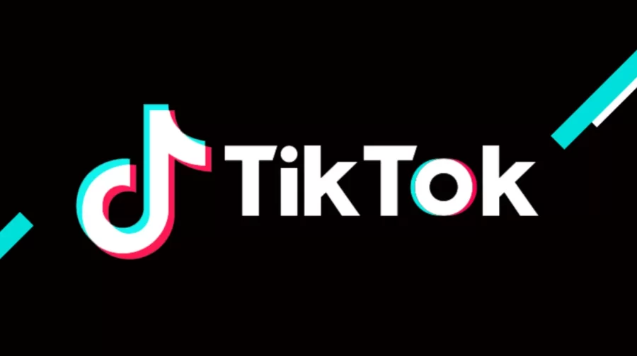 Congress Questions TikTok CEO